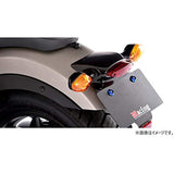 Magical Racing (Magical Racing) Fenderless Kit Ren 250 REBEL250 Plagenous Carbon Reflector Sold TCW The Craftsman Workshop T01-REB217-910C