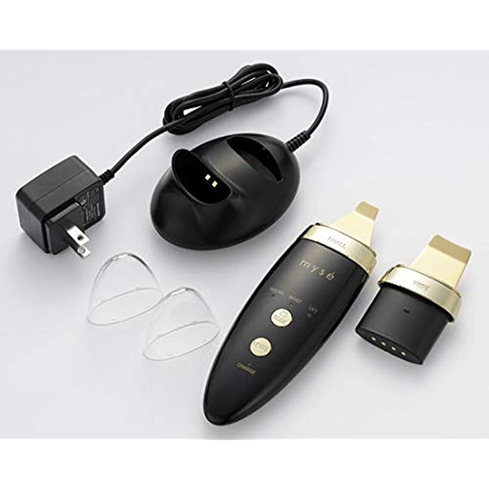 Ya-man Double Peeling Pro Queen YA-MAN myse MS-41B – Goods Of Japan