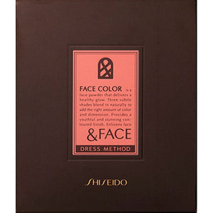 Shiseido International & Face Dress Method Face Color N (Refill) 4.5G
