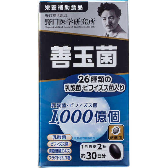 Noguchi Medical Research Institute Co., Ltd. Good bacteria 60 grains