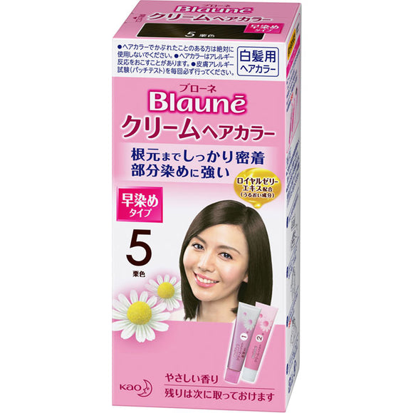 Kao Blaune Cream Hair Color 5 Maroon 40g x 2 (Non-medicinal products)