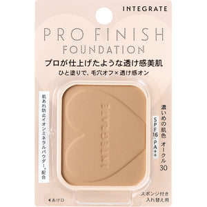 Shiseido Integrated Professional Foundation 10G