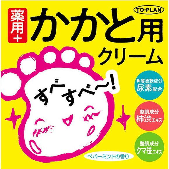 Tokyo Planning and Sales Medicinal Heel Cream N 110g