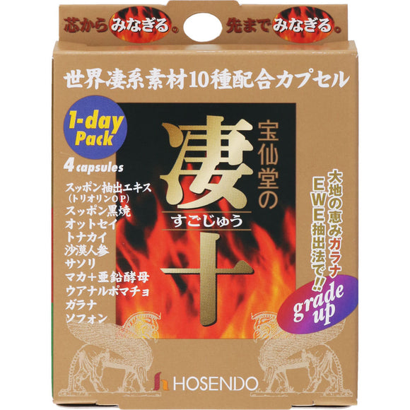 Hosendo Hosendo's Hosendo 1-DAY Pack 4 tablets