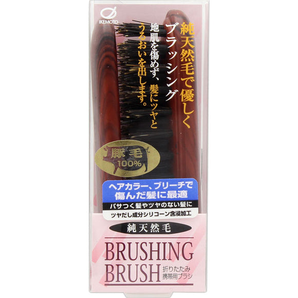 Ikemoto Brush Industry Dubois Silicone Impregnated Natural Hair Hairbrush RW-102B
