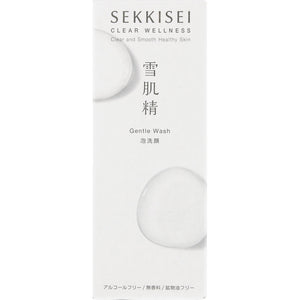 Kose Sekkisei Clear Wellness Gentle Wash 160ml