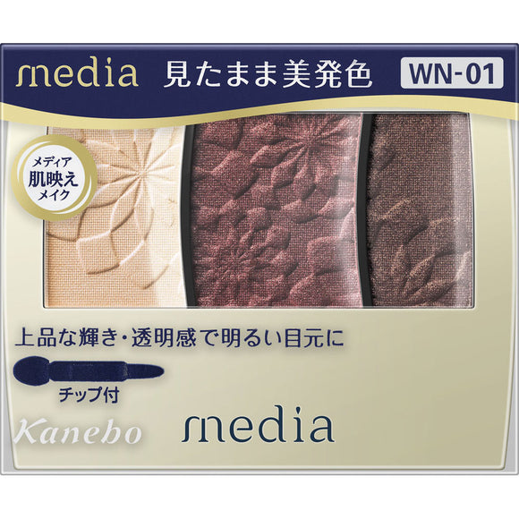 Kanebo Cosmetics Media Glade Color Eye Shadow Wn-01 ー