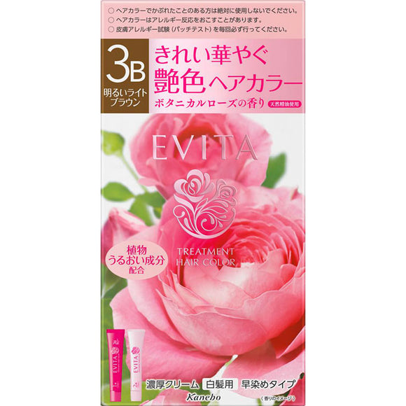 Kanebo Cosmetics Evita Treatment Hair Color 3B 45g 45g (Non-medicinal products)