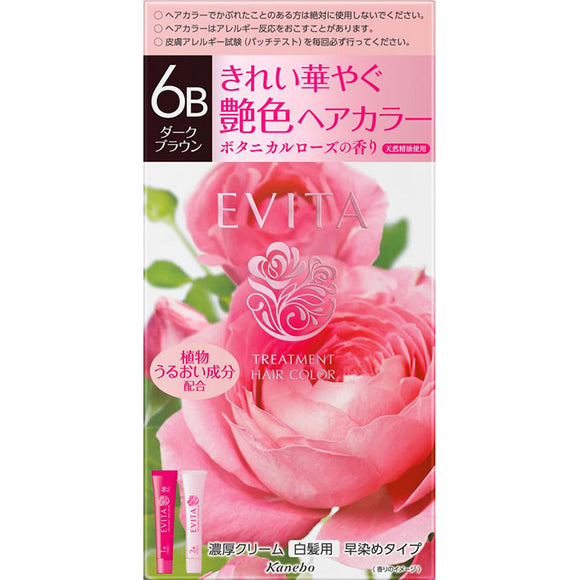Kanebo Cosmetics Evita Treatment Hair Color 6B 45g 45g (Non-medicinal products)