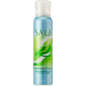 Kanebo Cosmetics Sarah Clear Wave Foam V 150g