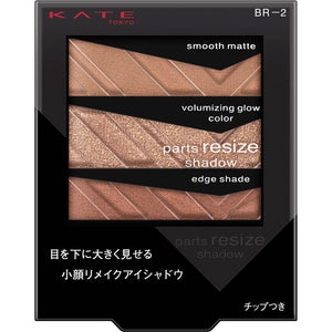 Kanebo Cosmetics Kate Parts Resize Shadow BR-2 2.4g