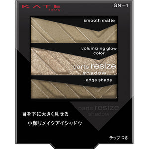 Kanebo Cosmetics Kate Parts Resize Shadow GN-1 2.4g