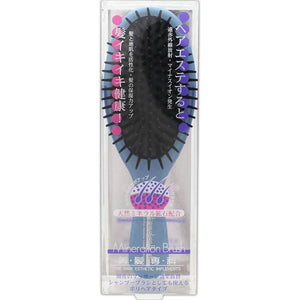 Beth Industry Hair Beauty Course Mineral Ion Brush Poly Hair Brush