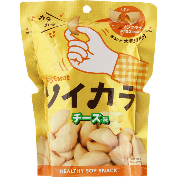Otsuka Pharmaceutical Soykara Cheese Flavor 27g
