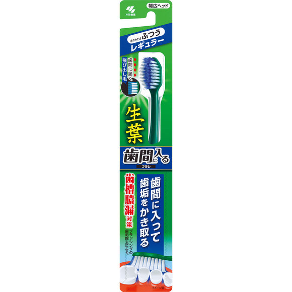 Kobayashi Pharmaceutical Co., Ltd. Brush that fits between raw leaf teeth Regular 1