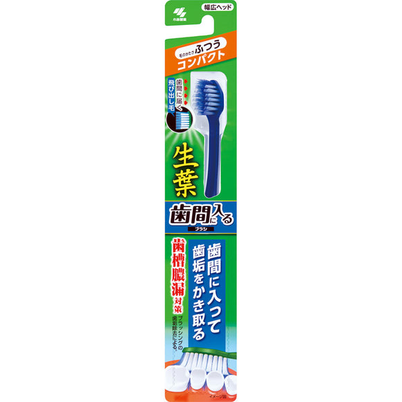 Kobayashi Pharmaceutical Co., Ltd. Brush that fits between raw leaf teeth Compact, usually one
