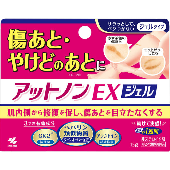 Kobayashi Pharmaceutical Atnon EX Gel 15g