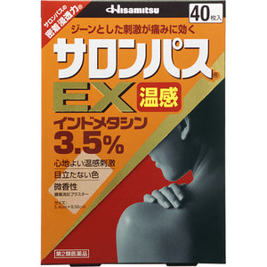 Hisamitsu Pharmaceutical Salon Pass EX Warm feeling 40 sheets