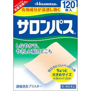 Hisamitsu Pharmaceutical Salon Pass 120 sheets