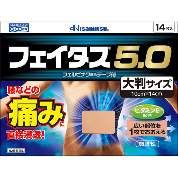 Hisamitsu Pharmaceutical Fatus 5.0 Large format 14 sheets