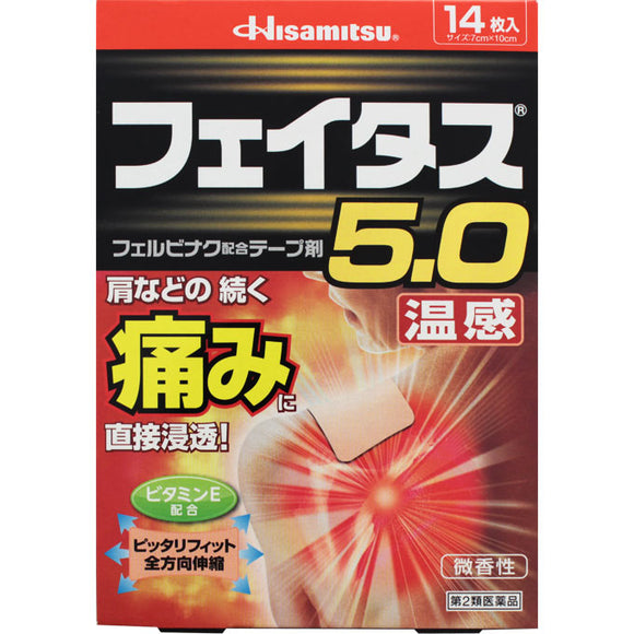 Hisamitsu Pharmaceutical Fatus 5.0 Warmth 14 sheets