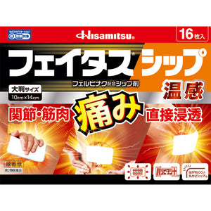 Hisamitsu Pharmaceutical Fatus Ship 16 sheets of warmth