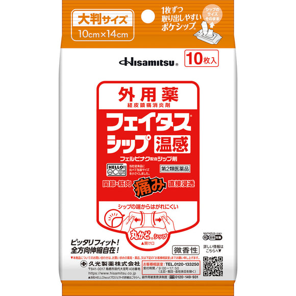 Hisamitsu Pharmaceutical Fatus Ship Warm Sensation 10 Sheets
