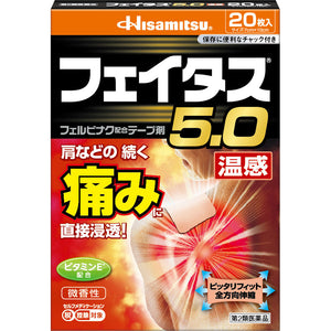 Hisamitsu Pharmaceutical Fatus 5.0 Warmth 20 sheets