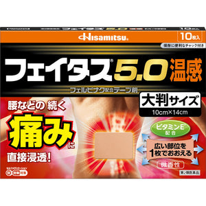 Hisamitsu Pharmaceutical Fatus 5.0 Warm feeling large size 10 sheets