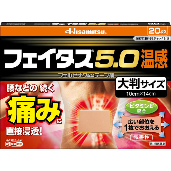 Hisamitsu Pharmaceutical Fatus 5.0 Warm feeling large size 20 sheets