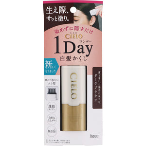 Hoyu Cielo One Day White Hair Hiding Dark Brown 9ml