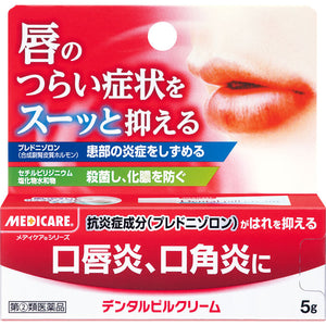 Morishita Jintan Dental Pill Cream 5g