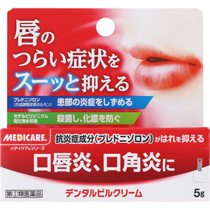 Morishita Jintan Dental Pill Cream 5g [Designated Class 2 Pharmaceuticals]
