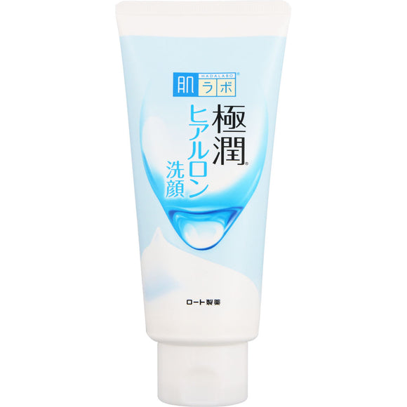 Rohto Pharmaceutical Hada Labo Gokujun Hyaluronic Facial Cleansing Foam 100g