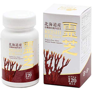 Made in Hokkaido Kazuno Reishi capsules 120 capsules Made in Japan Made in Japan