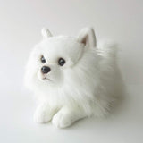 Ninia and Kino Sleeping Dog Pomeranian White Plush Dog Realistic