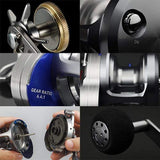 Daiwa Bait Reel 15 Saltiga 10/15/35 (Right/Left handle) (2015 model)