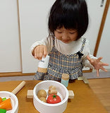 Alex Sanga Crisp Play House, Wooden, Magnet, Food Sanitation Inspection Compliant, Kitchen, Stove, Fish Grill, Play and Clean Up, Educational Toy (Pot Frying Pan Set, PP)