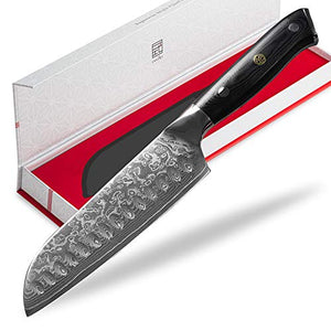 ISSIKI VG10 Knife, Damascus Santoku Knife, 6.7 inches (170 mm), Stainless Steel, Good Cutting Knife, All-Purpose Knife