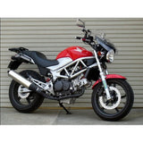 Chic Design Gaira Shield S Clear VTR250 FI (09-) GS34BS Screen