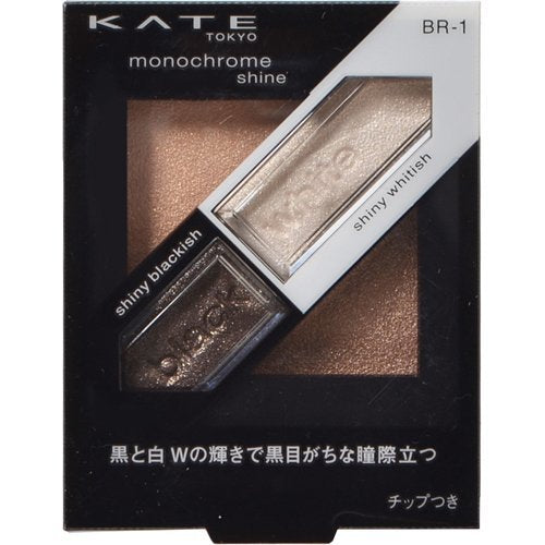 Kanebo Kate Monochrome Shine BR-1