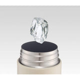 Skater SSW10N Sports Bottle, Cold and Heat Retention, Stainless Steel, Water Bottle, 33.8 fl oz (1,000 ml), Small, Totoro Ghibli