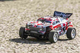 Radio Control Baksawer EVO Lark Gail