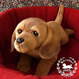 Ninia and Kino Sleeping Dog Dachshund Smooth Red Plush Dog Realistic