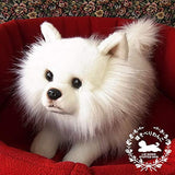 Ninia and Kino Sleeping Dog Pomeranian White Plush Dog Realistic