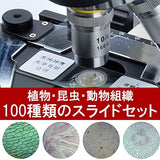Phelimoa Preparat Animal and Plant Specimen Microscope, Biology, Science, Insects, Fungi, Micro World with Exclusive Box (Set of 100)