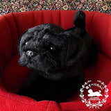 Ninia and Kino Sleeping Dog Black Pug Plush Dog Realistic