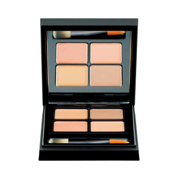 Briliage Palette Concealer Professional Performance Soft & Hard 10 with Dual Brush [Brand produced by Chiaki Shimada]