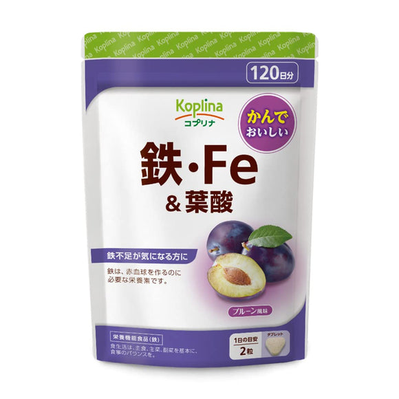 Iron/Fe/Folic acid 240 grains 1 bag 120 days worth