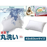 Phosflakes 758175 Restful Sleep Pillow (Pillow Only)